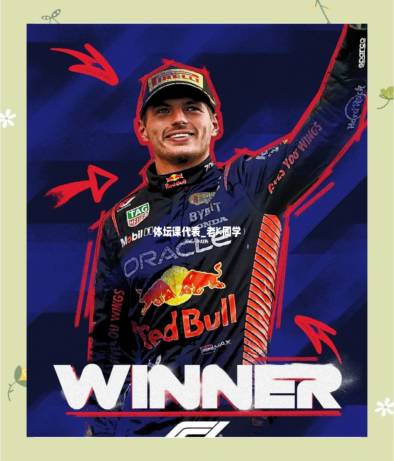 梅赛德斯鏖战索伯车队，维斯塔潘关键制胜