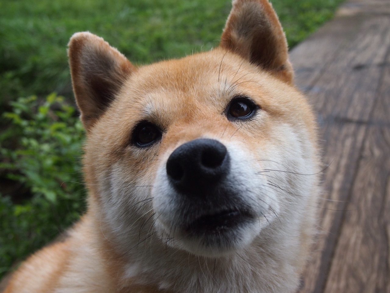 年度焦点之战之夜,戈麦斯,以沉默铁壁定义胜负